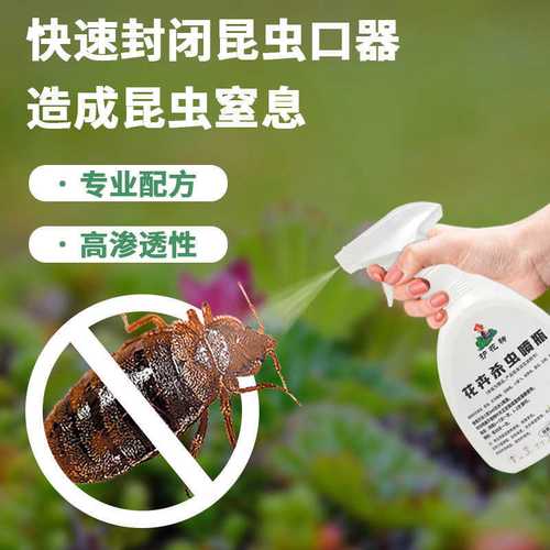 用對(duì)“護(hù)花神”，巧治家養(yǎng)花卉常見蟲害 蚜蟲、蚧殼蟲與小黑飛全攻略